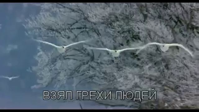 #СлаваБогуЗаВсё!