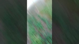 Моя идеальная жизнь  4 серия  1 сезон