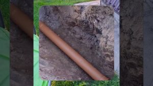 1000067391.mp4 (Собака слушает о технологии устройства канализации в сливную яму у дома А-фрейм)