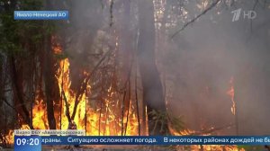 Площадь природных пожаров в ЯНАО увеличилась до 106 тыс. га.