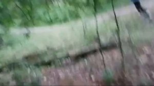 Попали в проклятый лагерь.    1 серия 1 сезон 😱😱😱