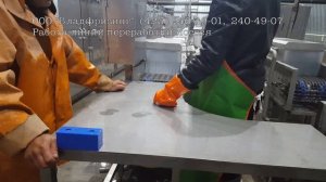 Завод проекта «Владфризинг» (Проектирование, поставка оборудования и монтаж под ключ)
