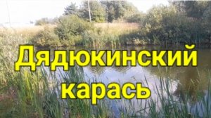 Дядюкинский карась.