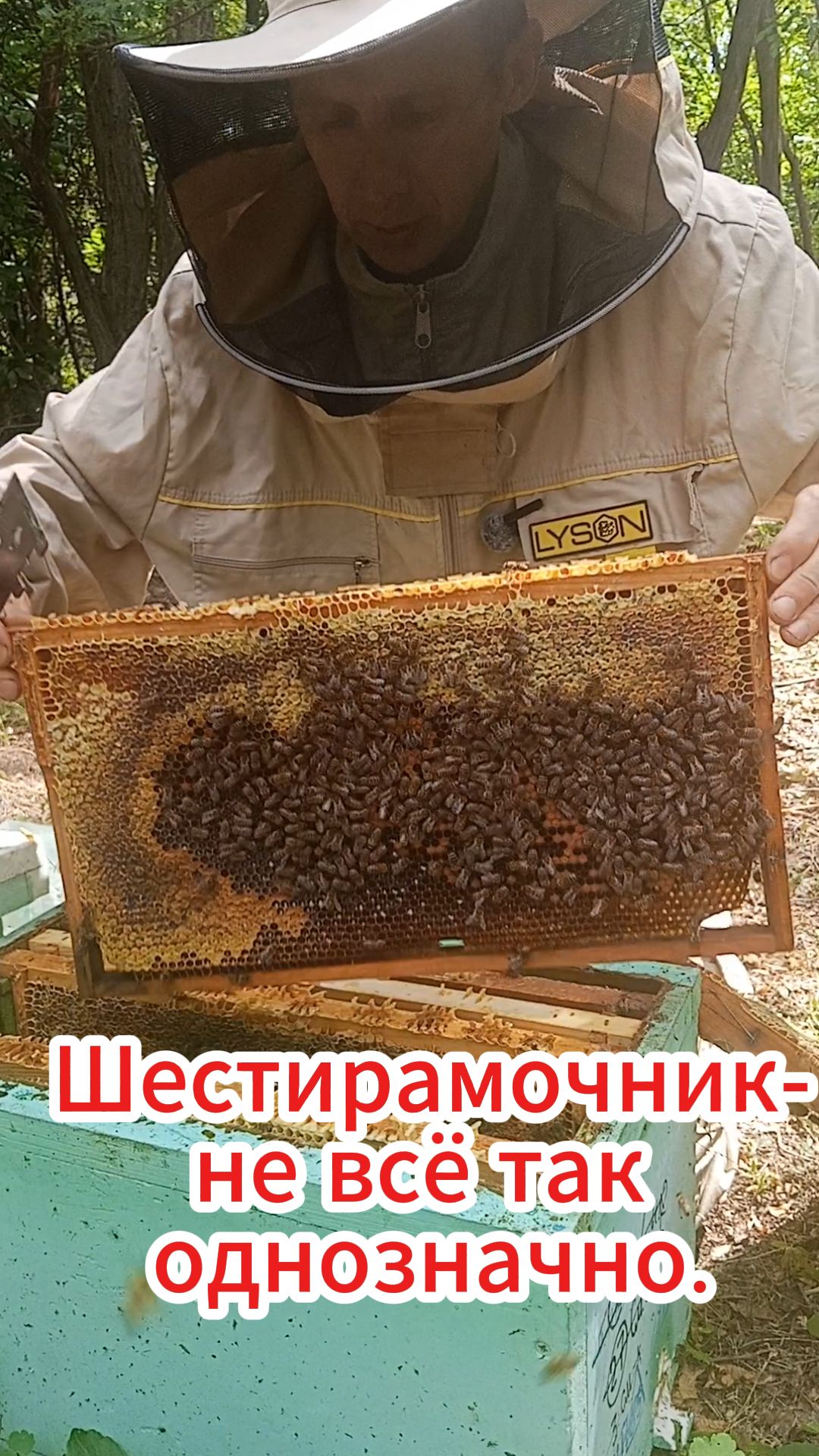 Шестирамочник- не всё так однозначно.