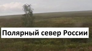 Окрестности Воркуты: вид из окна на полярный север России