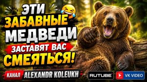 ЭТИ ЗАБАВНЫЕ МЕДВЕДИ ЗАСТАВЯТ ВАС СМЕЯТЬСЯ! ОКЕАН ЮМОРА