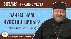 Зачем нам чувство вины ? (Притч.11:23; Колосс. 2:13-15)  Протоиерей Олег Стеняев