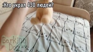 Тренд😋❤️