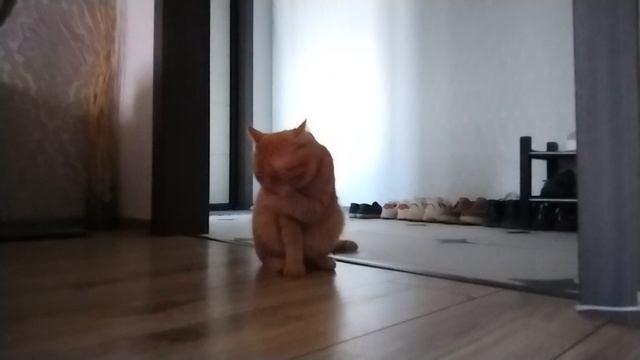 из жизни