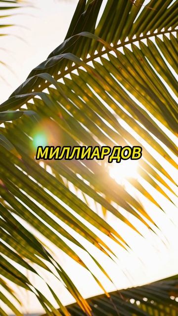 Ты уникален
