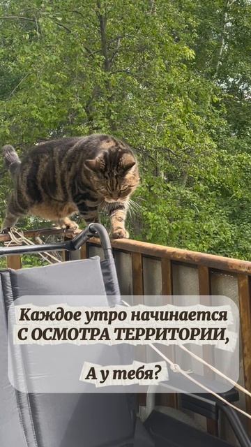 Утро начинается не с кофе 😎