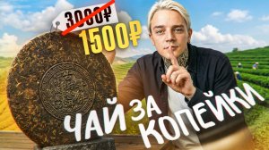 Как купить чай в два раза дешевле? Чайные аукционы