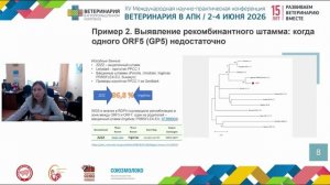 Краснова Е. А. Когда вакцины не работают? Филогенетика на службе контроля РРСС.
