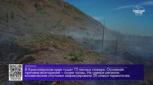 ДАЙДЖЕСТ «СЕВЕРНОГО ГОРОДА», 18.08.2026