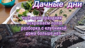 Ещё один праздник//разборка с клубникой//вскрыли полы//дома больше нет