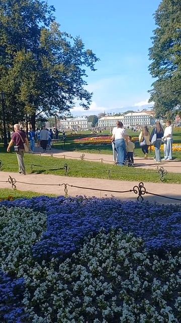 Питер Доброе утро #санктпетербургl #peterburg #россия #питер #ленинград
