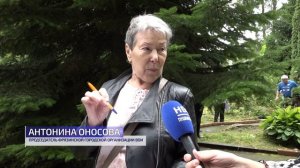 Клюшкой по мячу. В Королеве состоялся областной фестиваль по мини-гольфу