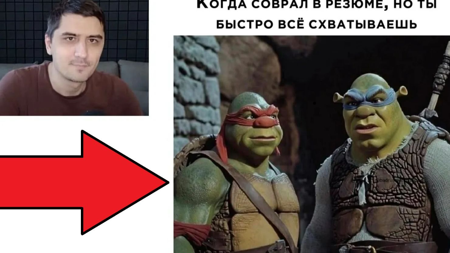 Новые МЕМЫ. Когда соврал в резюме...