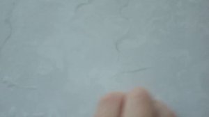 1000003845.mp4