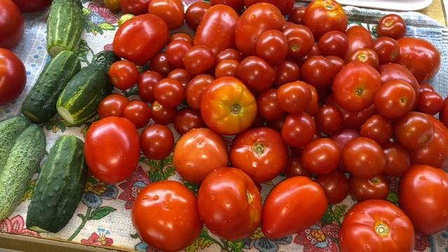 💥Будни / 🤭Дачная  лихорадка  / 🍅🫛 Заготовки продолжаются