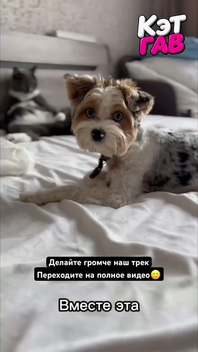 Отличные биты