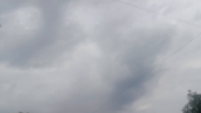 Голуби, приятный вечер и хочется домой! Нет, ну в Питере все прекрасно! 16.08.26