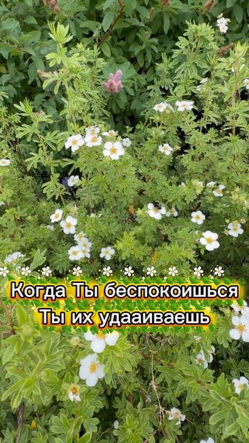 Как говорил Боб Марли...