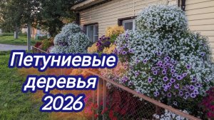 Петуниевые деревья. Не всё получилось, как хотелось бы