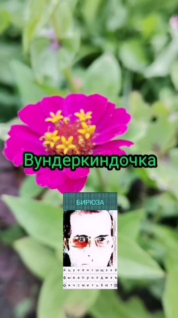 Вундеркиндочка