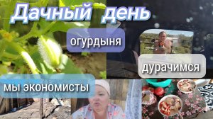 Дачный день//огурдыни//дурачимся//мы экономисты 😀