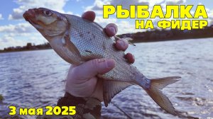 Рыбалка на ФИДЕР. Река ВЕЛИКАЯ. Печальная НОВОСТЬ...