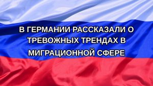 |Н. РФ| В Германии рассказали о тревожных трендах в миграционной сфере