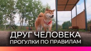 «Городское хозяйство» напоминает правила выгула собак в Великом Новгороде