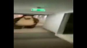 Медведь бежит по коридору 🤣