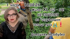 1 часть. Жилет XL (52 - 54) НЕ СОШЁЛСЯ на «исхудавшем» тельце кучи😭❗️