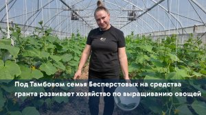 Под Тамбовом семья Бесперстовых на средства гранта развивает хозяйство по выращиванию овощей