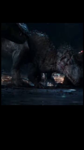 1000027009.mp4