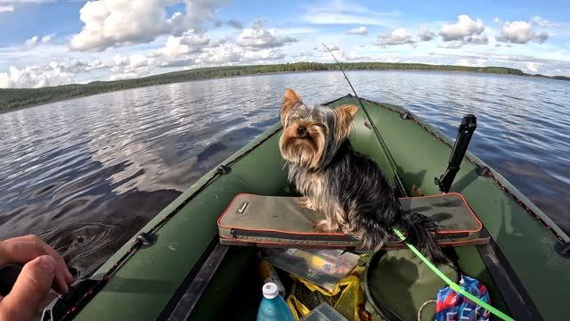 Отдохнули душой и телом на Волчихинском водохранилище.