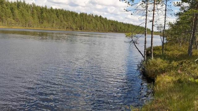 Большой валун на маленьком озере Горлянка на Карельском перешейке.