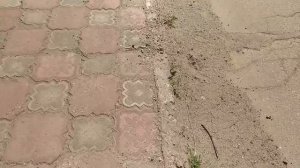 Внимание! строит любимая компания.