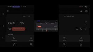 серая птичка на китайском
