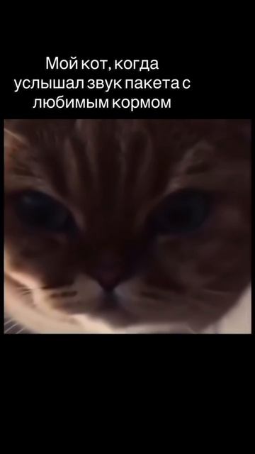 Супер лафхак