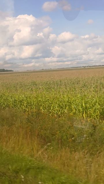 трасса