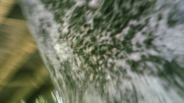 Купаюсь  под  мостом 👲💦