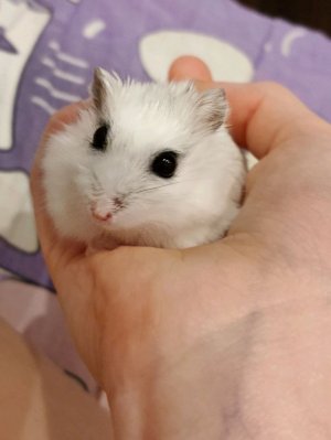 во что играть