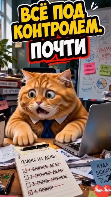 🐱 ВСЁ ПОД КОНТРОЛЕМ. ПОЧТИ!