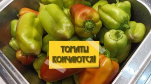 Пришёл минёр - конец томатам!