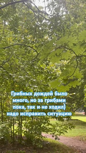 Мысли