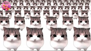 ЭТОТ КОТИК СЛОМАЛ ИНТЕРНЕТ! 🐱🤯 DAM DAM DIDI DIDI X100000000000000
