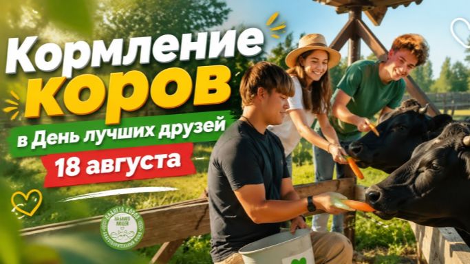 Кормление коров в День друзей, 18.08.2026г., Планета коров